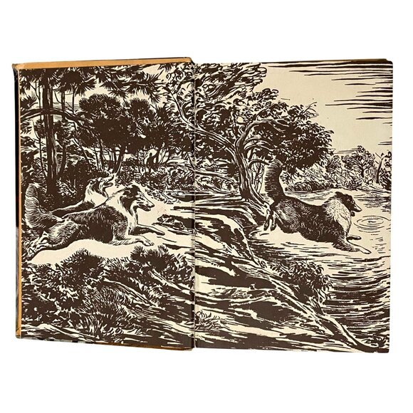 A Dog Named Chips The Life and Adventures of a Mongrel Scamp HC Book Terhune - Picture 4 of 8